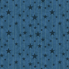 American Valor Stitches & Stars Blue - 16875-55 - Benartex - Nebraska Quilt Company - F261688