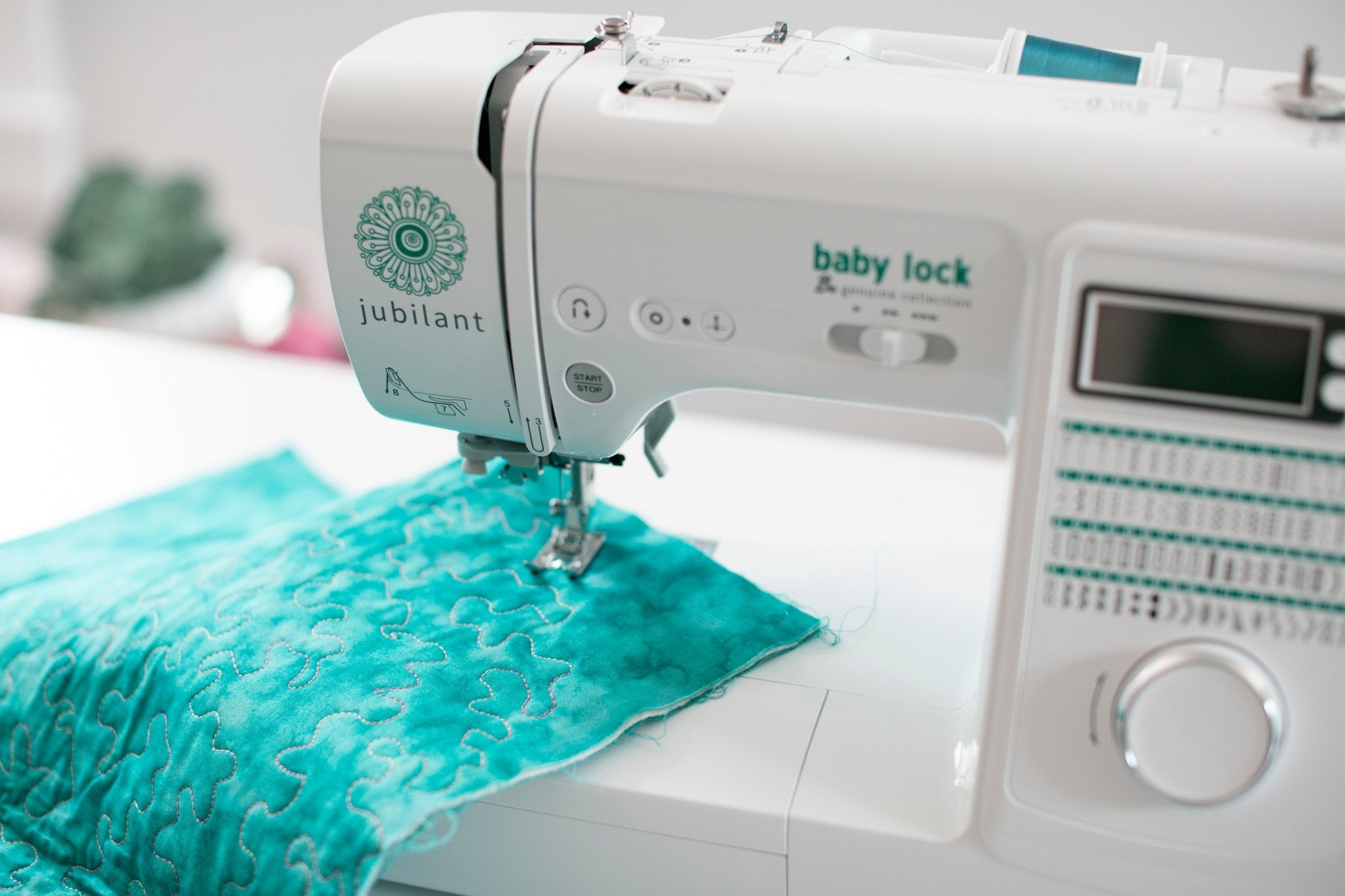 Baby Lock Jubilant - BL80B - Nebraska Quilt Company - MBL80B