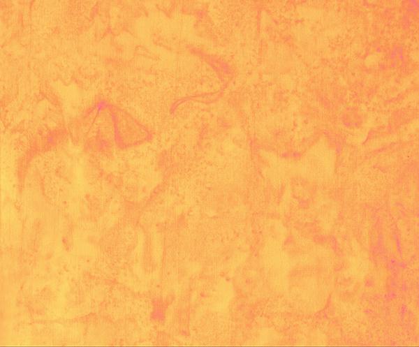 Banyan Shadows Tangerine - 81300 - 56 - Banyan Batiks - Nebraska Quilt Company - F86276