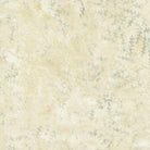 BASIC Batik Neutrals Custard - Nebraska Quilt Company - F78339