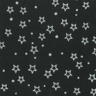 BeColourful Silver Star - BC27Q - X - Anthology Fabrics - Nebraska Quilt Company - F2400067