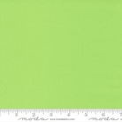 Bella Solids Amelia Green - 9900 163 - Moda Fabrics - Nebraska Quilt Company - F09662