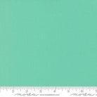 Bella Solids Green - 9900 65 - Moda Fabrics - Nebraska Quilt Company - F2400405