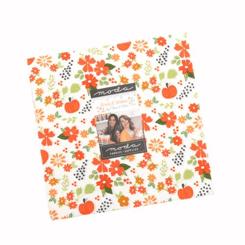 Birch and Willow 10" Squares 42 Pieces Multi - Nebraska Quilt Company - PC261893