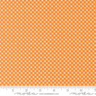 Birch and Willow Gingham Amber - 37726 13 - Moda Fabrics - Nebraska Quilt Company - F262078