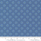 Cannon Beach Tide Pools Blenders Lake - 11977 18 - Moda Fabrics - Nebraska Quilt Company - F260229