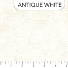 Canvas Antique White - 9030 - 110 - Northcott Fabrics - Nebraska Quilt Company - F250521