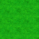 Canvas Astro Turf - 9030 - 74 - Northcott Fabrics - Nebraska Quilt Company - F02089
