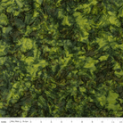 Color Play Mottled Spring Pear - BT21500 - 326 - Riley Blake Designs - Nebraska Quilt Company - F09110