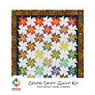 Color Shift Quilt Kit Featuring Twirl & Swirl - Nebraska Quilt Company - K2403307