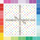Colorblock Party 10" Squares Multi 42 Pieces - Nebraska Quilt Company - PC260843