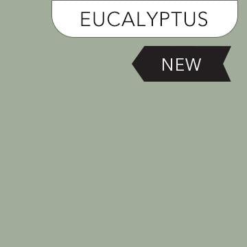 Colorworks Solid Eucalyptus - 9000 - 739 - Northcott Fabrics - Nebraska Quilt Company - F2402155