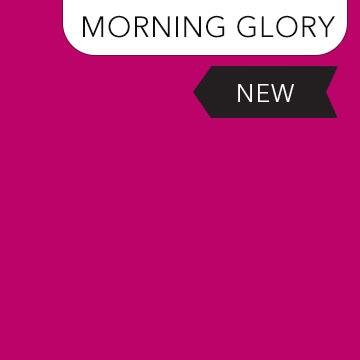 Colorworks Solid Morning Glory - 9000 - 259 - Northcott Fabrics - Nebraska Quilt Company - F2402143