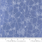 Coven Spider Web Halloween Dusk - 48804 14 - Moda Fabrics - Nebraska Quilt Company - F261601