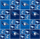 Creighton University Bluejays Block - CRE020 - Sykel Enterprises - Nebraska Quilt Company - F260896