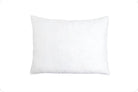 Cuddle Dreamz 20" x 26" Pillow Form - Nebraska Quilt Company - N2403301