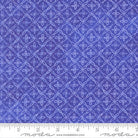 Delphinium Flourish Checks and Plaids Agapanthus - 24656 18 - Moda Fabrics - Nebraska Quilt Company - F260790