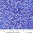 Delphinium Palette Blenders Agapanthus - 24658 16 - Moda Fabrics - Nebraska Quilt Company - F260792