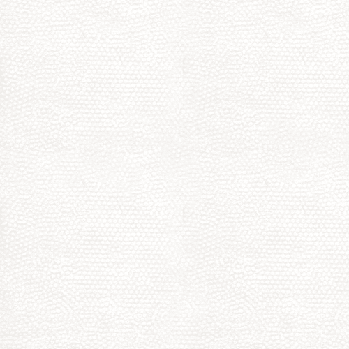Dimples Snow White - P0260 - 1867 - WW - Andover Fabrics - Nebraska Quilt Company - F69199