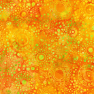 Dotted Citrus - AMD - 22656 - 134 - Robert Kaufman - Nebraska Quilt Company - F09814