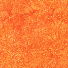 Dotted Goldfish - AMD - 22660 - 369 - Robert Kaufman - Nebraska Quilt Company - F09833