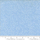 Dotty Thatched Mist - 48716 146 - Moda Fabrics - Nebraska Quilt Company - F250043