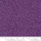 Dotty Thatched Pansy - 48715 160 - Moda Fabrics - Nebraska Quilt Company - F250045