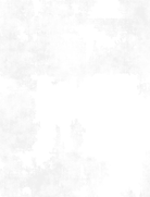 Dry Brush White on White - Nebraska Quilt Company - F06759