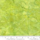 Echo Batiks Lime Green - 4369 24 - Moda Fabrics - Nebraska Quilt Company - F2401461