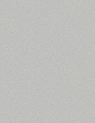 Essentials Dash of Pepper Dotted Scroll Grey - Nebraska Quilt Company - F85806