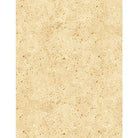Essentials Spatter Light Tan - 1080 31588 212 - Wilmington Prints - Nebraska Quilt Company - F06171