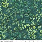 Everblue Seagrass - BT23803 - 679 - Riley Blake - Nebraska Quilt Company - F260669