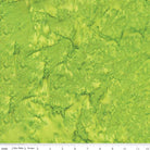 Expressions Batiks Hand - Dyes Green Apple - BT21000 - 314 - Riley Blake Designs - Nebraska Quilt Company - F2401739