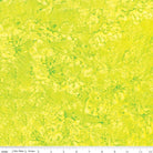 Expressions Batiks Hand - Dyes Kiwi - BT21000 - 311 - Riley Blake Designs - Nebraska Quilt Company - F2401686