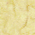 Fall Flair Birch Brown Tan - 122446056 - Island Batik - Nebraska Quilt Company - F2403241