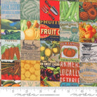 Farm And Garden Patchwork Garden Multi - 7474 11 - Moda Fabrics - Nebraska Quilt Company - F2401419