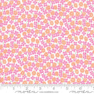 Fiddle Dee Dee Flower Field Pink/Orange - Nebraska Quilt Company - F81822