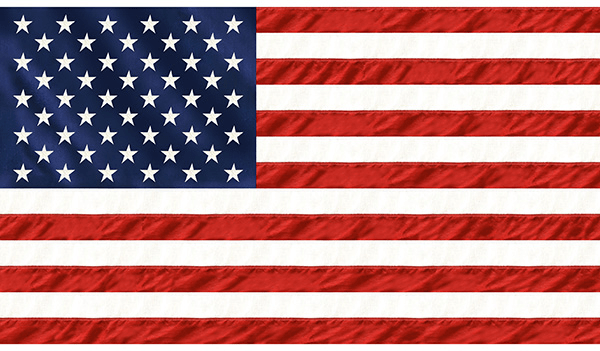Freedom Ring Americana Flag Panel Multi 42.5" x 25.5" - Nebraska Quilt Company - PAN261293