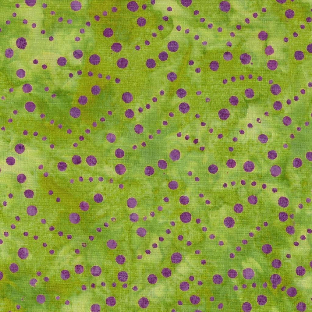 Garden Gate Pebbles Green Lemongrass - 412504630 - Island Batik - Nebraska Quilt Company - F260403