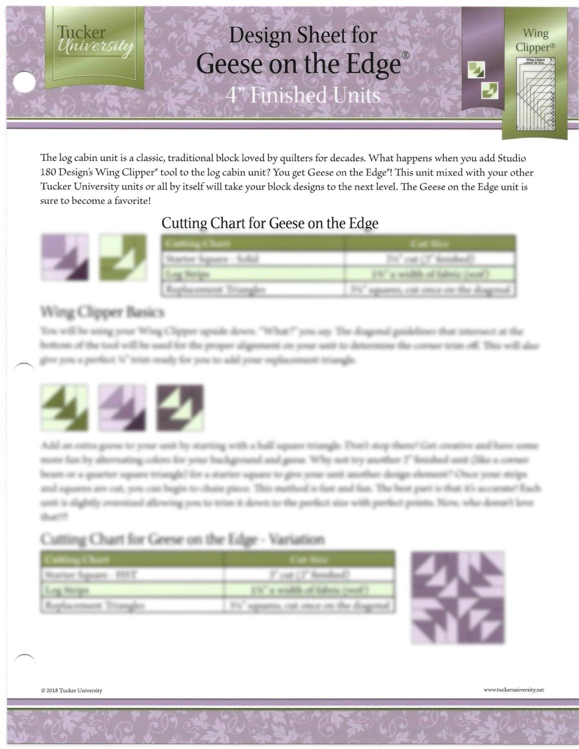 Geese on the Edge Design Sheet - Nebraska Quilt Company - PUB2501604