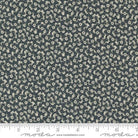 Goodnight Irene Ripples Blenders Floral Graphite Black - 31703 19 - Moda Fabrics - Nebraska Quilt Company - F2400635