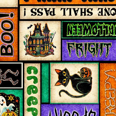 Happy Haunting Halloween Text Multi - 31046 - X - QT Fabrics - Nebraska Quilt Company - F2403124