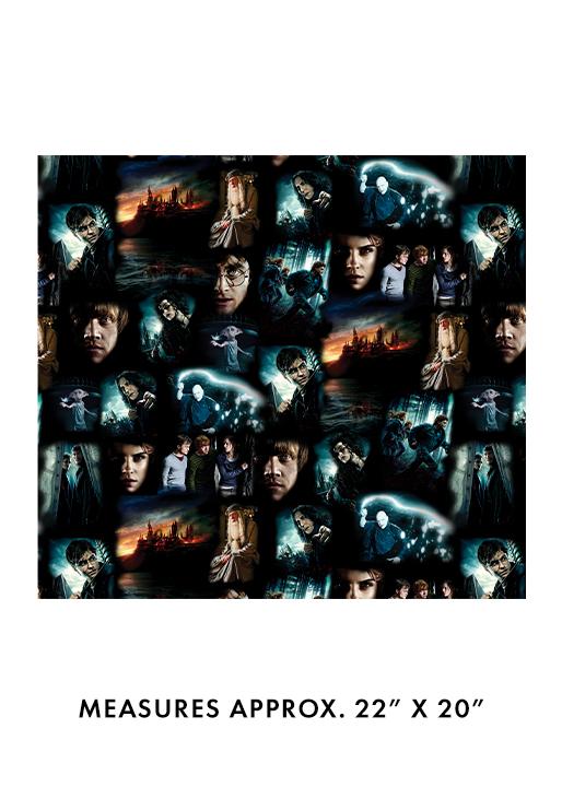 Harry Potter 2nd Edition Moments Black - 15263-12 - Benartex - Nebraska Quilt Company - F261707
