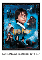 Harry Potter Panel Multi 36" x 44" - Nebraska Quilt Company - F2502252