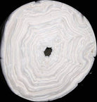 Hobbs Heirloom Premium 80/20 Batting 96" Wide Cream by the Yard - Nebraska Quilt Company - NB00002