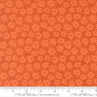 Home for Christmas Mistletoe Black Multi - DP28931-99 - Northcott Fabrics - Nebraska Quilt Company - F261341
