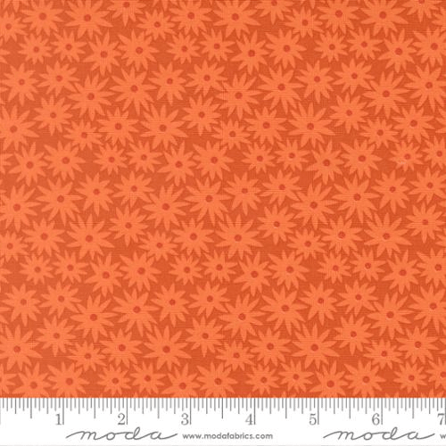 Home for Christmas Mistletoe Black Multi - DP28931-99 - Northcott Fabrics - Nebraska Quilt Company - F261341