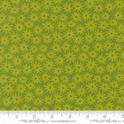 Home for Christmas Mistletoe Red Multi - DP28931-24 - Northcott Fabrics - Nebraska Quilt Company - F261342