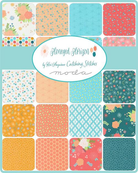 Honeyed Horizon 5" Squares Multi 42 Pieces - 47010PP - Moda Fabrics - Nebraska Quilt Company - PC260599