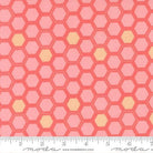Honeyed Horizon Box Hex Sunset Pink - 47016 22 - Moda Fabrics - Nebraska Quilt Company - F260830